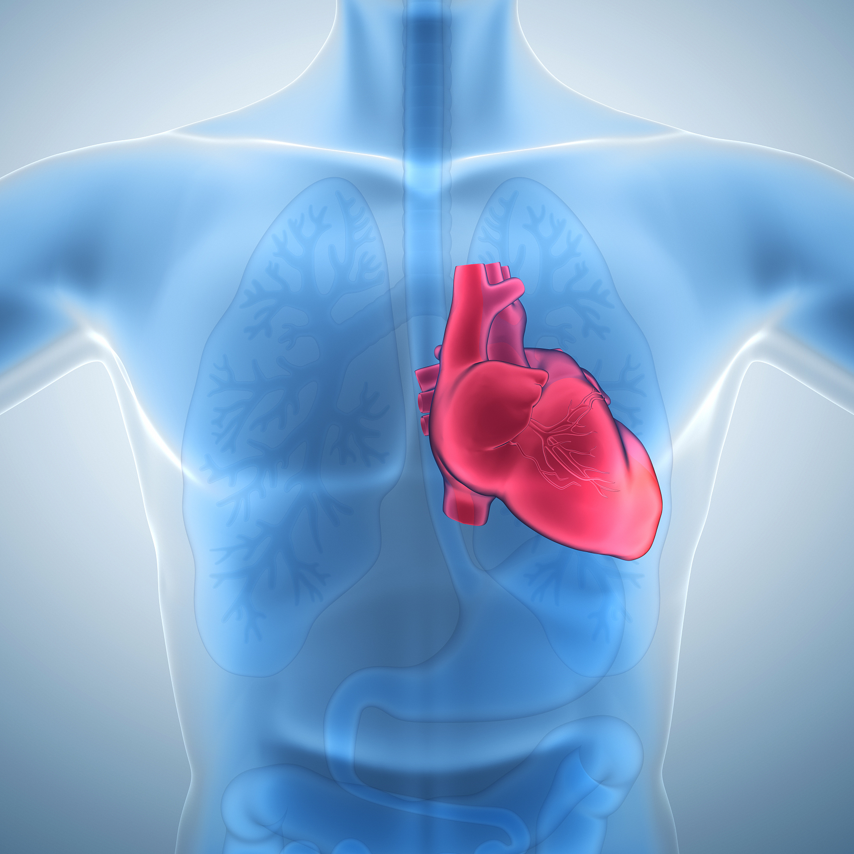 Coenzyme Q10